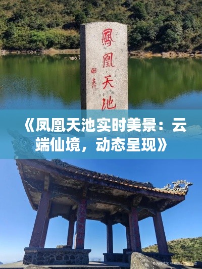 《凤凰天池实时美景:云端仙境,动态呈现》