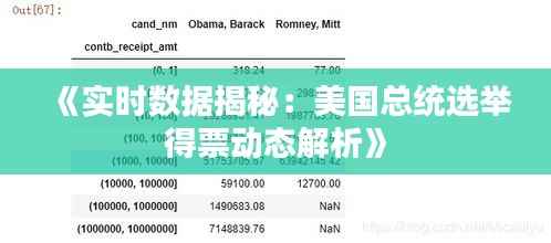 《实时数据揭秘：美国总统选举得票动态解析》