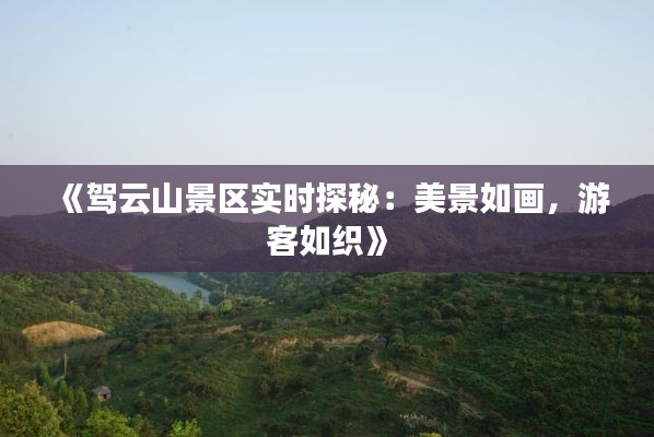 《驾云山景区实时探秘:美景如画,游客如织》