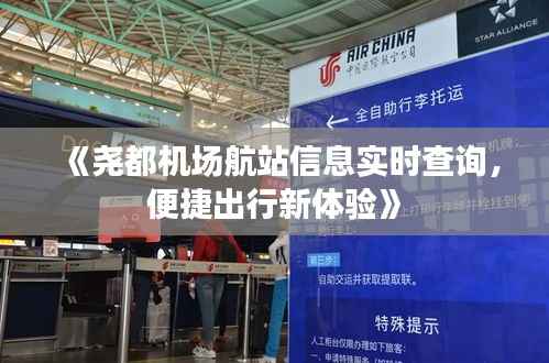 《尧都机场航站信息实时查询,便捷出行新体验》