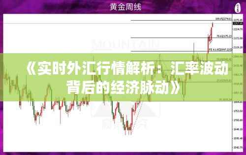 《实时外汇行情解析:汇率波动背后的经济脉动》