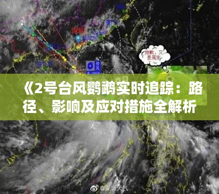 《2号台风鹦鹉实时追踪:路径、影响及应对措施全解析》