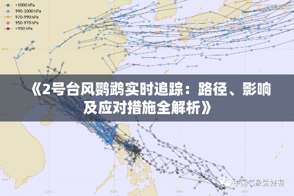 《2号台风鹦鹉实时追踪:路径、影响及应对措施全解析》