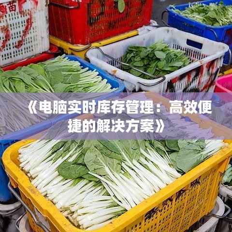 《电脑实时库存管理:高效便捷的解决方案》