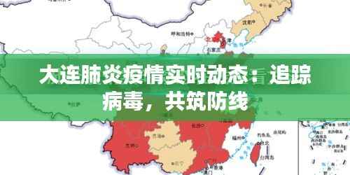 大连肺炎疫情实时动态:追踪病毒,共筑防线