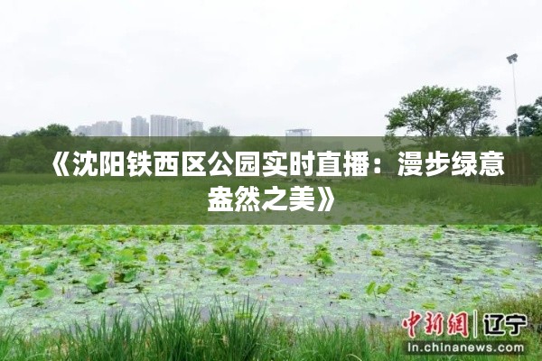 《沈阳铁西区公园实时直播:漫步绿意盎然之美》