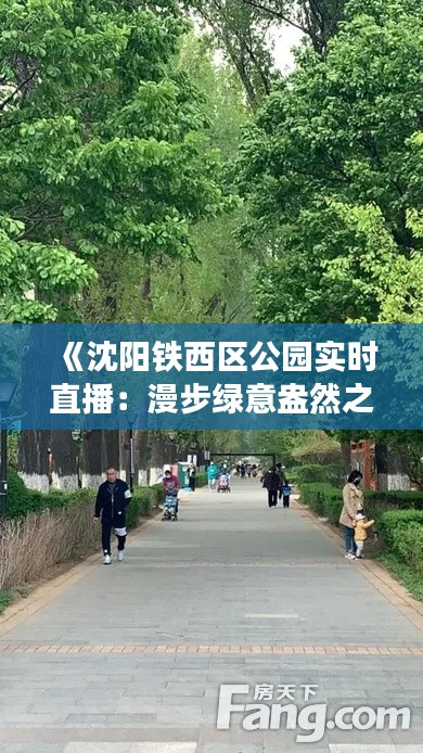 《沈阳铁西区公园实时直播:漫步绿意盎然之美》