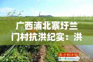 广西浦北寨圩兰门村抗洪纪实:洪水肆虐,村民齐心抗灾