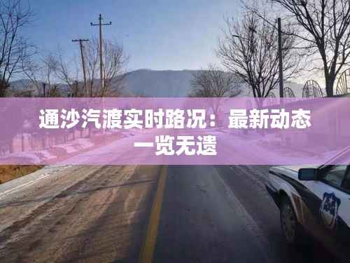 通沙汽渡实时路况:最新动态一览无遗