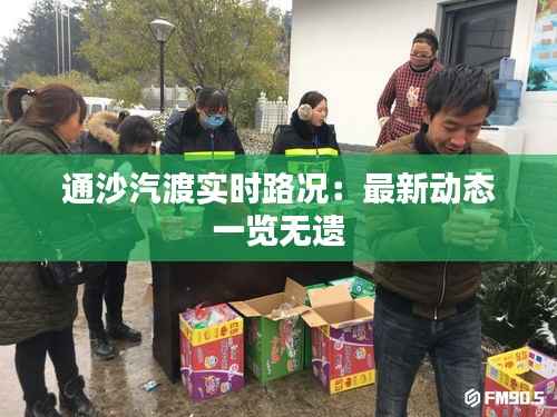 通沙汽渡实时路况:最新动态一览无遗