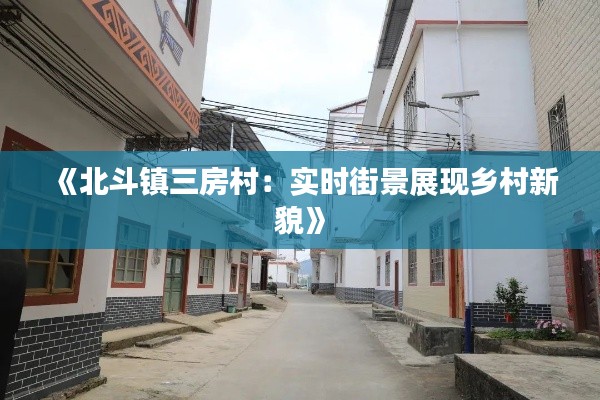 《北斗镇三房村:实时街景展现乡村新貌》