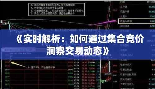 《实时解析:如何通过集合竞价洞察交易动态》