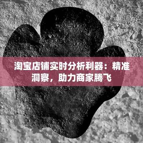 淘宝店铺实时分析利器:精准洞察,助力商家腾飞