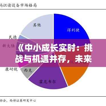 《中小成长实时:挑战与机遇并存,未来可期》