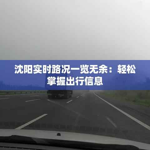 沈阳实时路况一览无余:轻松掌握出行信息