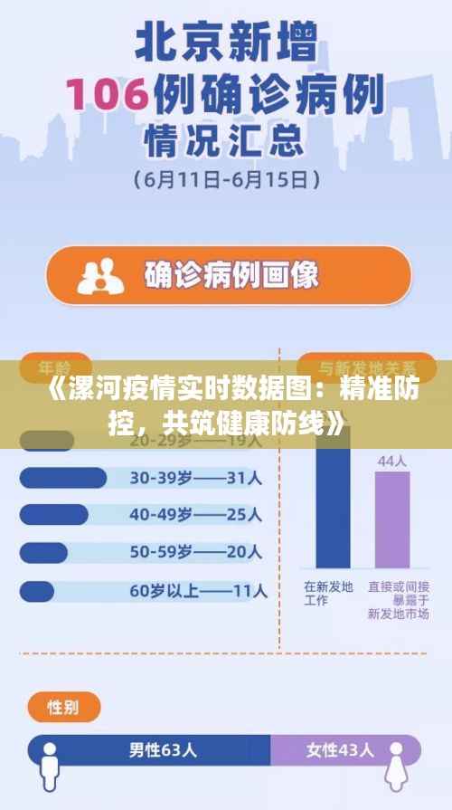 《漯河疫情实时数据图：精准防控，共筑健康防线》