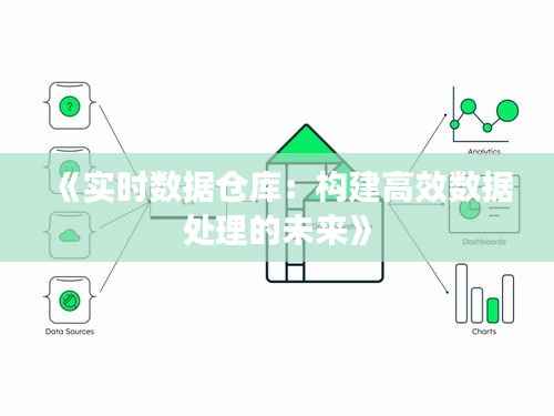 《实时数据仓库:构建高效数据处理的未来》
