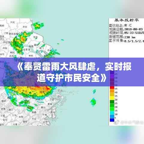 《奉贤雷雨大风肆虐，实时报道守护市民安全》