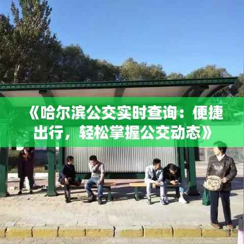 《哈尔滨公交实时查询：便捷出行，轻松掌握公交动态》