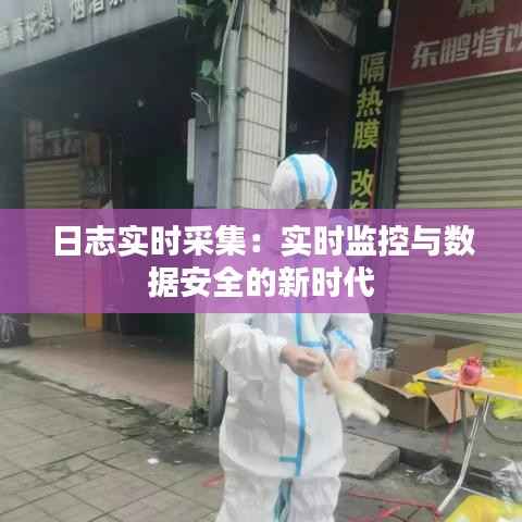 日志实时采集:实时监控与数据安全的新时代