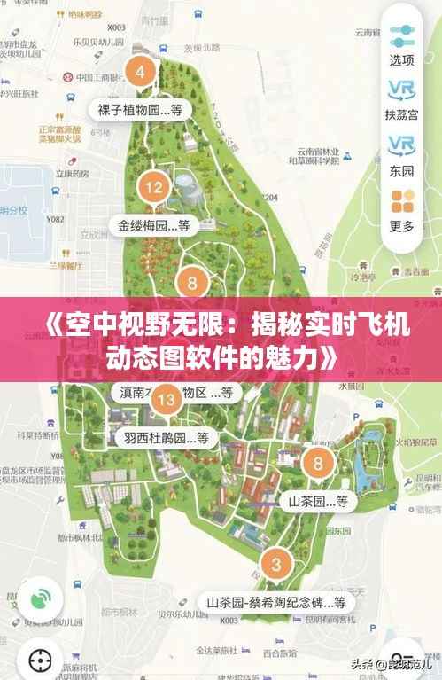 《空中视野无限：揭秘实时飞机动态图软件的魅力》