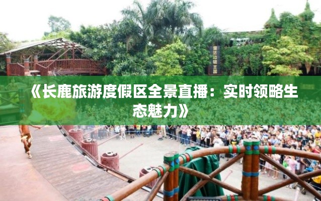 《长鹿旅游度假区全景直播:实时领略生态魅力》