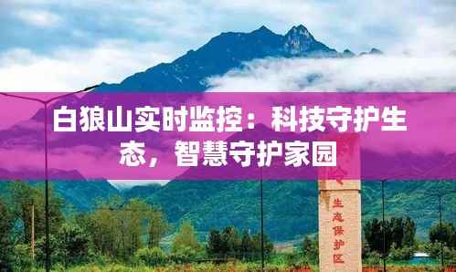 白狼山实时监控:科技守护生态,智慧守护家园