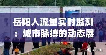 岳阳人流量实时监测：城市脉搏的动态展现