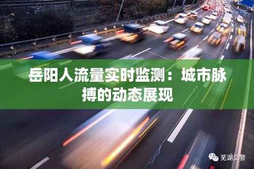 岳阳人流量实时监测:城市脉搏的动态展现