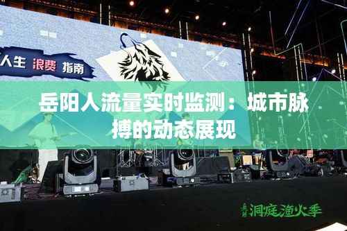 岳阳人流量实时监测:城市脉搏的动态展现