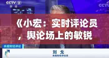 《小宏:实时评论员,舆论场上的敏锐观察者》