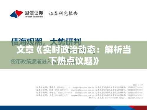 文章《实时政治动态:解析当下热点议题》