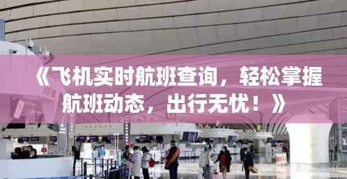 《飞机实时航班查询，轻松掌握航班动态，出行无忧！》