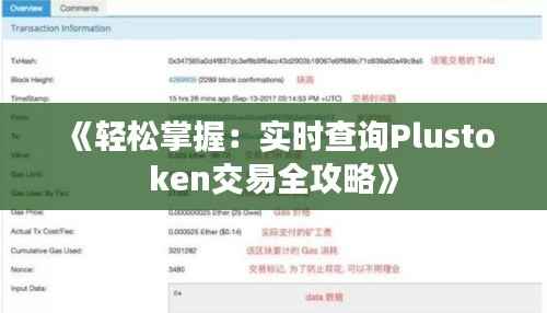 《轻松掌握:实时查询Plustoken交易全攻略》