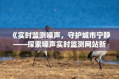 《实时监测噪声,守护城市宁静——探索噪声实时监测网站新篇章》