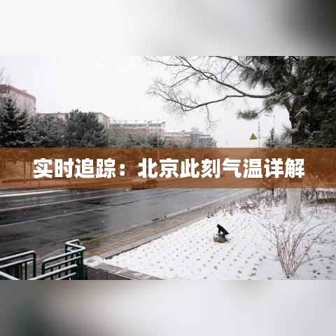 实时追踪:北京此刻气温详解