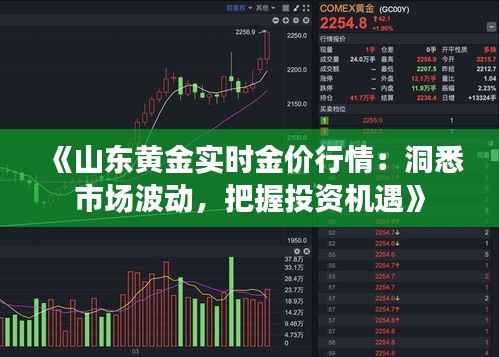 《山东黄金实时金价行情：洞悉市场波动，把握投资机遇》
