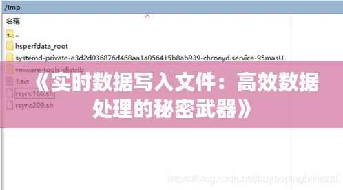《实时数据写入文件:高效数据处理的秘密武器》