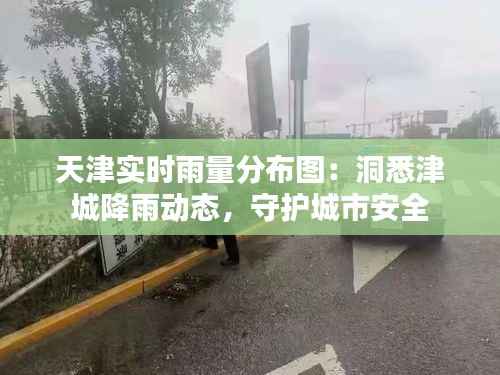 天津实时雨量分布图:洞悉津城降雨动态,守护城市安全