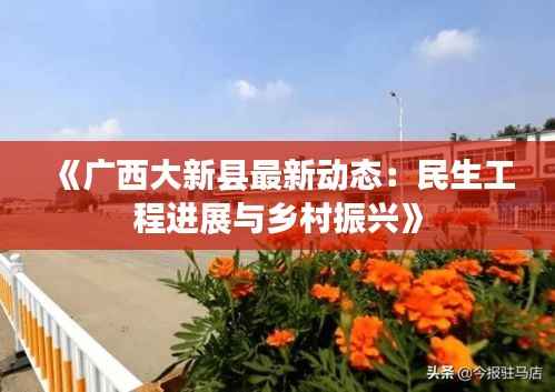 《广西大新县最新动态:民生工程进展与乡村振兴》