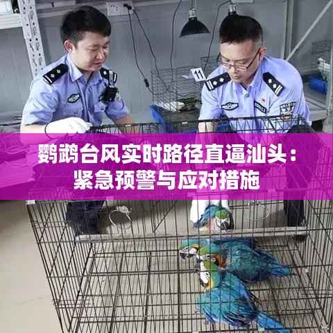 鹦鹉台风实时路径直逼汕头：紧急预警与应对措施