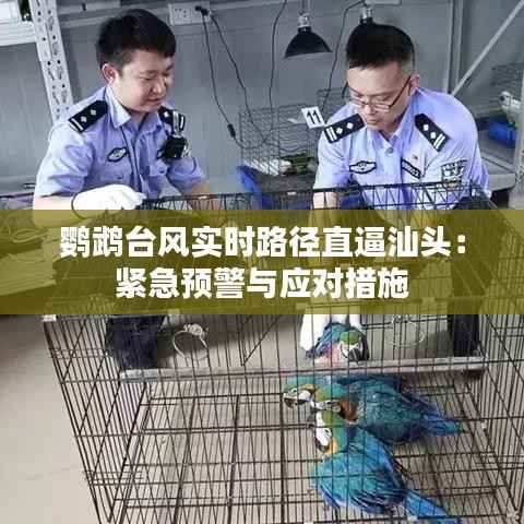 鹦鹉台风实时路径直逼汕头:紧急预警与应对措施