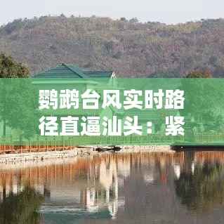 鹦鹉台风实时路径直逼汕头:紧急预警与应对措施