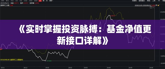 《实时掌握投资脉搏:基金净值更新接口详解》