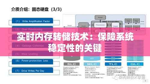 实时内存转储技术：保障系统稳定性的关键