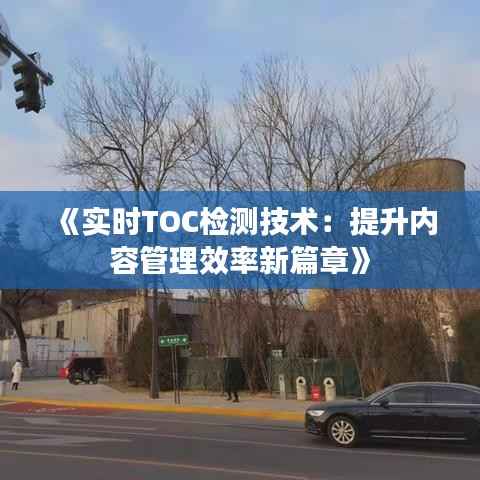 《实时TOC检测技术：提升内容管理效率新篇章》