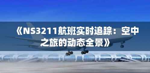 《NS3211航班实时追踪：空中之旅的动态全景》