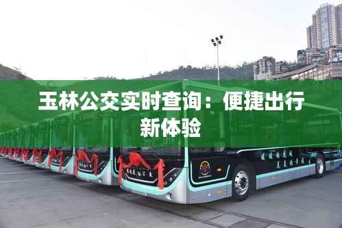 玉林公交实时查询:便捷出行新体验