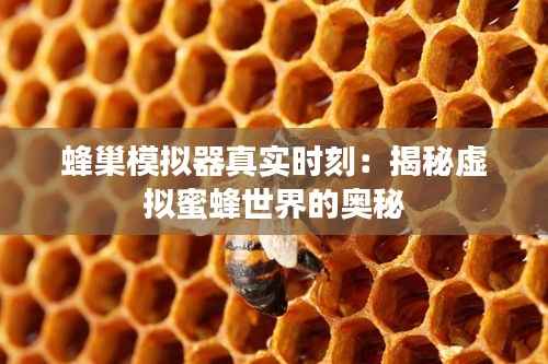 蜂巢模拟器真实时刻:揭秘虚拟蜜蜂世界的奥秘