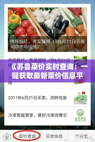 《苏鲁菜价实时查询：一键获取最新菜价信息平台推荐》